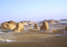 Bahariya Oases 29