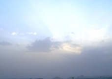 Bahariya Oases 31