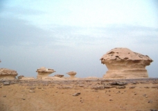 Bahariya Oases 33
