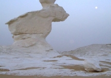 Bahariya Oases 37