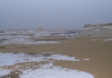 Bahariya Oases 38