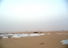 Bahariya Oases 39