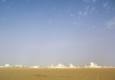 Bahariya Oases 40