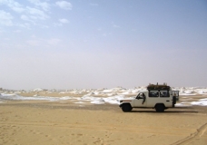 Bahariya Oases 41