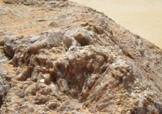 Bahariya Oases 43