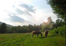 Vermont Range