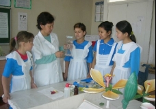 The Biology Lesson