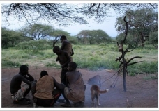 VANISHING HADZABE CULTURE