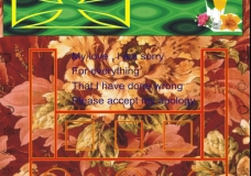 Apology