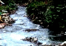 River River Flowing