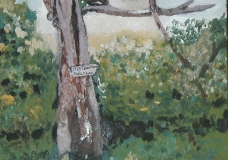 Eatonville Telephone Poll And Line