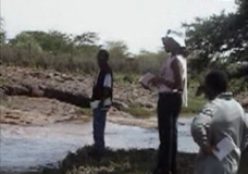 Young Environmentalists
