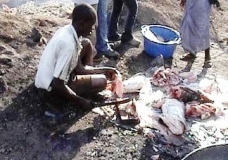 Chop! Chop! Chop!