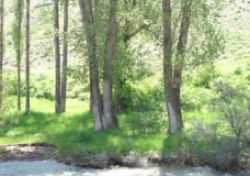 Garni and Geghard River