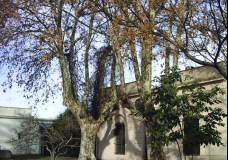 Casitas 1