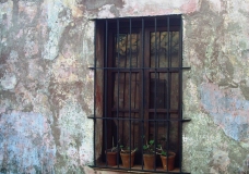Casitas 4