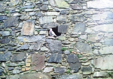 Casitas 11