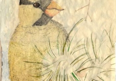 Yellow Bird