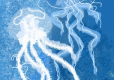 Jellyfish