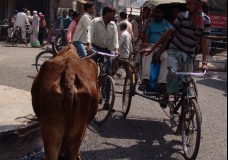 Life in India