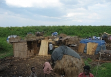 The floating islands on Lake Kyoga