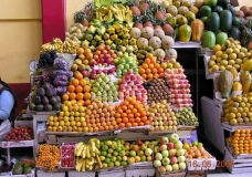 Multi-color,flavor,shape,size,smell,seed