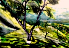 Tea Estates in North East India