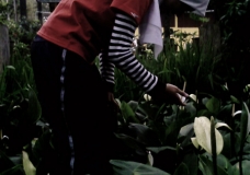 Girl With Flower