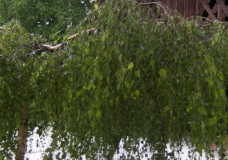 Hail in june