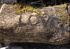 Love log