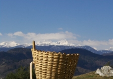 Triglav seized in a basket
