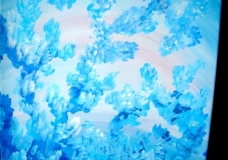 corali
