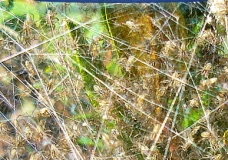 SPHERE NET SPAIDER