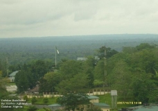 Rainforest