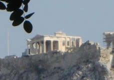 The Acropolis