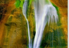 nuture-3