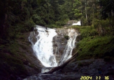 nuture-4