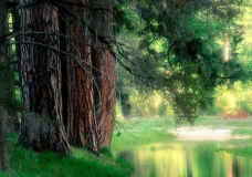 nuture-5