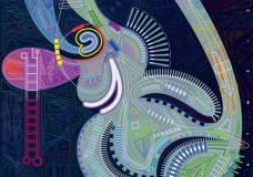 Untypical Roo (2007)