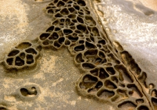 Erosion