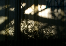 Shadows