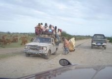 Public Transport: Somali style