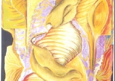 Untitled 4, 1999