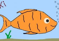 KiKi (my dream fish)