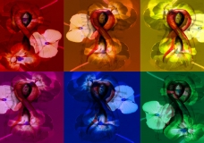 Spring Without AIDS