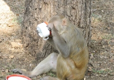 Tea Break