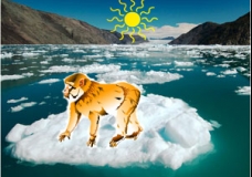 Greenhouse effect
