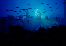 city
