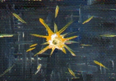 Shiny Star