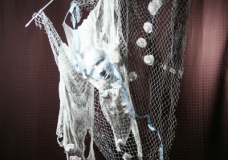 Safety Net